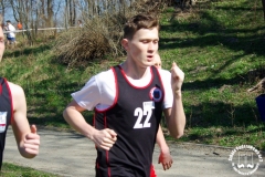 07.04.2018_final_dolnoslaski_w_druzynowych_biegach_przelajowych-olesnica_27