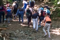 Warsztaty geologiczne na Ślęży