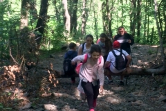 07.05.2018_warsztaty_geologiczne_na_slezy_11