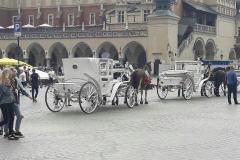 13.06.2018_wycieczka_do_krakowa_i_wieliczki_kl3ed_08