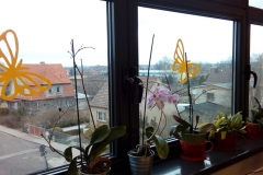 15.03.2018_zapach_przedwiosnia_12