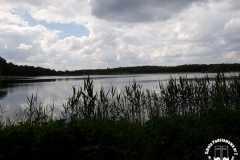 15.05.2018_biwak_krosnicki-15-16.05.2018_szkolne_schroniskom_mlodziezowe_07