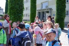 21.05.2018_zabytkowym_tramwajem_po_wroclawiu_12