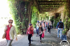 21.05.2018_zabytkowym_tramwajem_po_wroclawiu_21