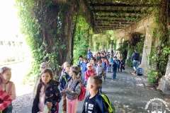21.05.2018_zabytkowym_tramwajem_po_wroclawiu_22