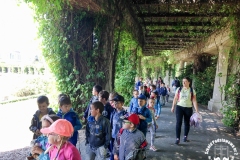21.05.2018_zabytkowym_tramwajem_po_wroclawiu_23