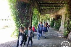21.05.2018_zabytkowym_tramwajem_po_wroclawiu_24