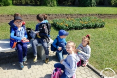 21.05.2018_zabytkowym_tramwajem_po_wroclawiu_27