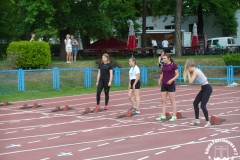 SAM_1481