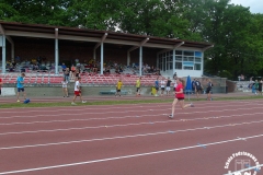 SAM_1498