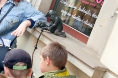 27.04.2018_wycieczka2ai2b_do_wroclawia_miasta_krasnali_07