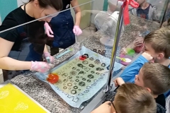 27.04.2018_wycieczka2ai2b_do_wroclawia_miasta_krasnali_10