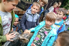 27.04.2018_wycieczka2ai2b_do_wroclawia_miasta_krasnali_12