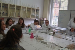 Warsztaty w Myśliborzu