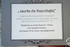 08.11.2018_laurka_dla_niepodleglej_04