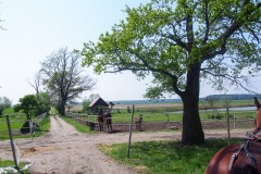 17.05.2019_warsztaty_w_piotrkosicach_120