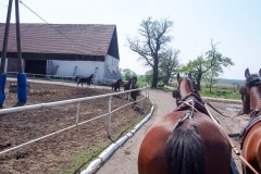 17.05.2019_warsztaty_w_piotrkosicach_125