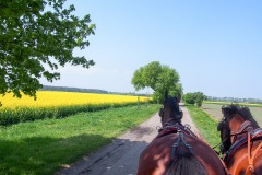 17.05.2019_warsztaty_w_piotrkosicach_126