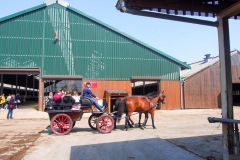 17.05.2019_warsztaty_w_piotrkosicach_131