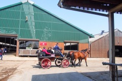 17.05.2019_warsztaty_w_piotrkosicach_132