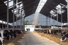 17.05.2019_warsztaty_w_piotrkosicach_140