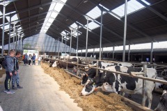 17.05.2019_warsztaty_w_piotrkosicach_141