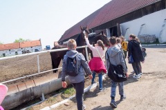 17.05.2019_warsztaty_w_piotrkosicach_145