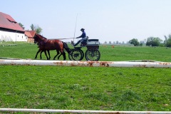 17.05.2019_warsztaty_w_piotrkosicach_146