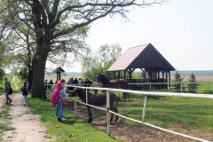 17.05.2019_warsztaty_w_piotrkosicach_147