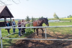 17.05.2019_warsztaty_w_piotrkosicach_148