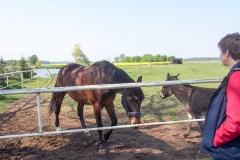 17.05.2019_warsztaty_w_piotrkosicach_149