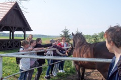 17.05.2019_warsztaty_w_piotrkosicach_152