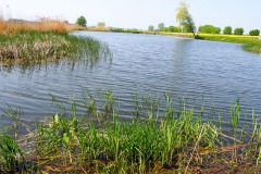 17.05.2019_warsztaty_w_piotrkosicach_167