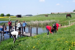 17.05.2019_warsztaty_w_piotrkosicach_183