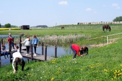 17.05.2019_warsztaty_w_piotrkosicach_185
