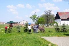 17.05.2019_warsztaty_w_piotrkosicach_189