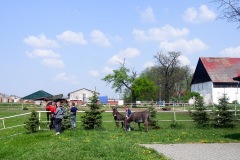 17.05.2019_warsztaty_w_piotrkosicach_190
