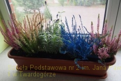 22.09.2018_piknik_ekologiczny_181