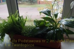 22.09.2018_piknik_ekologiczny_184
