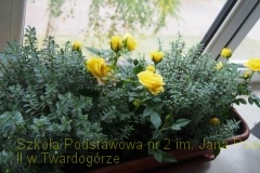 22.09.2018_piknik_ekologiczny_193