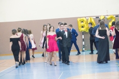 25.01.2019_bal_gimnazjalny_2019_054