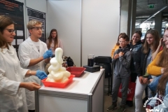 Dolnośląski Festiwal nauki – "pigułka edukacyjna"