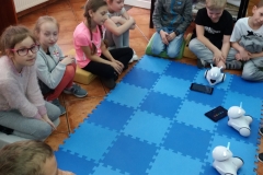 29.04.2019_lekcja_programowania_w_bibliotece_publicznej_twa_04