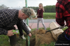 30.04.2019_sadzenie_debow_09