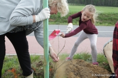 30.04.2019_sadzenie_debow_10