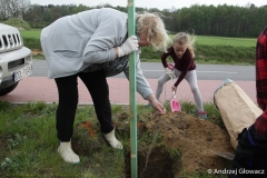 30.04.2019_sadzenie_debow_11