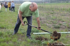 30.04.2019_sadzenie_debow_14