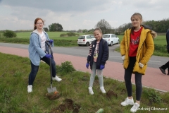 30.04.2019_sadzenie_debow_16