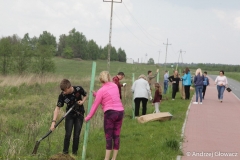 30.04.2019_sadzenie_debow_19
