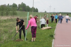 30.04.2019_sadzenie_debow_20